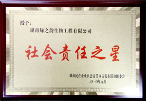 开云手机站登录入口董事常务副总经理劳嘉获“社会责任之星”称号