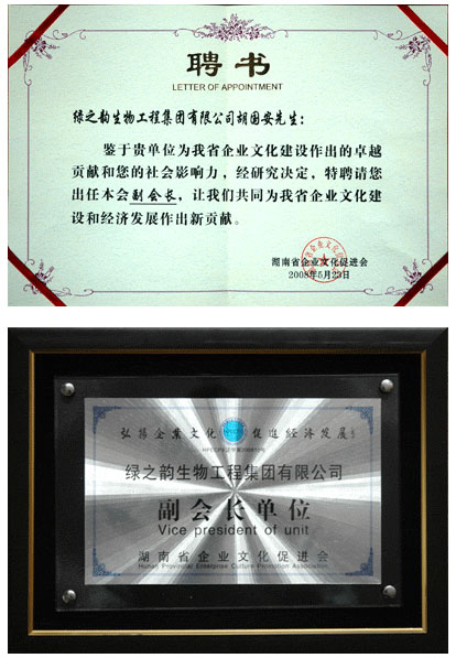 开云手机站登录入口胡国安董事长当选湖南省企业文化促进会副会长
