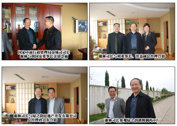 国家工商行政管理总局市场司司长谢林莅临开云手机站登录入口考察