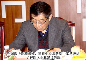 全国政协副秘书长、民建中央常务副主席马培华一行莅临开云手机站登录入口考察