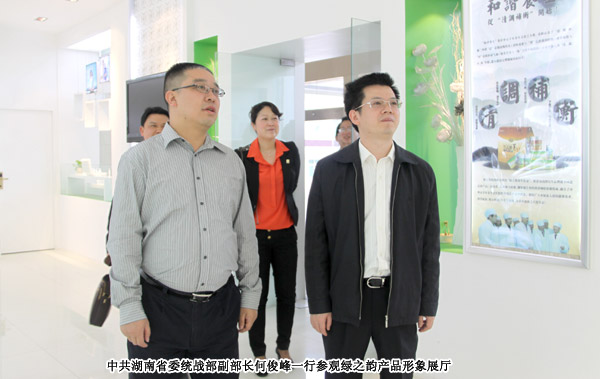 中共湖南省委统战部副部长何俊峰一行莅临开云手机站登录入口考察调研