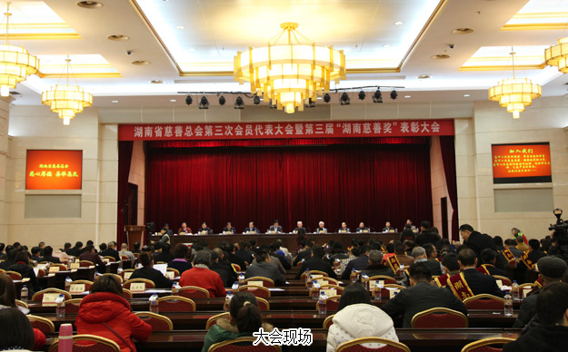 胡国安董事长当选湖南省慈善总会副会长，开云手机站登录入口荣膺“湖南省慈善奖”殊荣