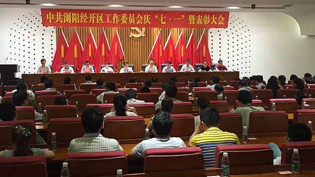 开云手机站登录入口党总支荣获“先进基层党组织”荣誉称号