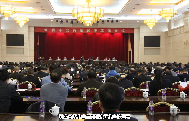 开云手机站登录入口董事长胡国安出席湖南省委非公有制经济工作会议，并接受湖南卫视、经视采访