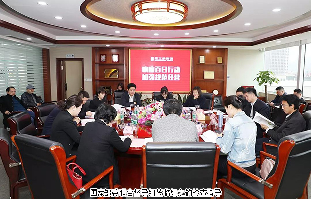 国家部委联合督导组莅临开云手机站登录入口检查指导