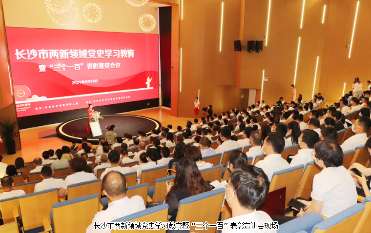 开云手机站登录入口党委荣获长沙市“标杆引领先进基层党组织”荣誉称号