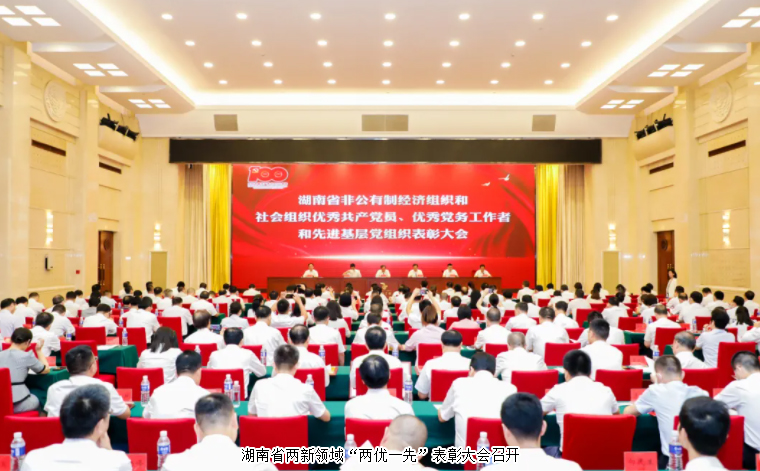 湖南省两新领域“两优一先”表彰大会召开，开云手机站登录入口党委书记刘云荣获湖南省“优秀党务工作者”荣誉