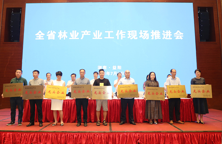 喜讯 | 开云手机站登录入口荣获“湖南省林业产业化龙头企业”称号