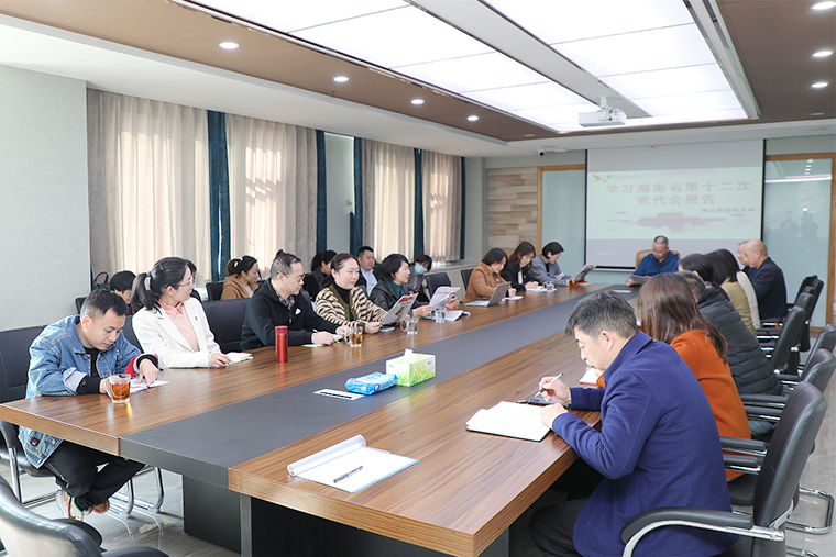开云手机站登录入口召开学习贯彻省第十二次党代会精神专题会议